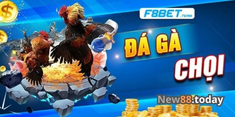 Đôi nét giới thiệu về sân chơi đá gà F8bet 